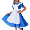 Fun Costumes Child Deluxe Alice Costume