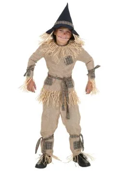 Fun Costumes Silly Scarecrow Kid's Costume