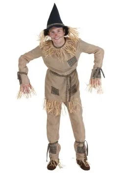 Fun Costumes Plus Size Silly Scarecrow Costume