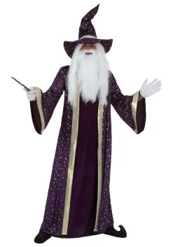 Fun Costumes Plus Size Wizard Costume For Adults